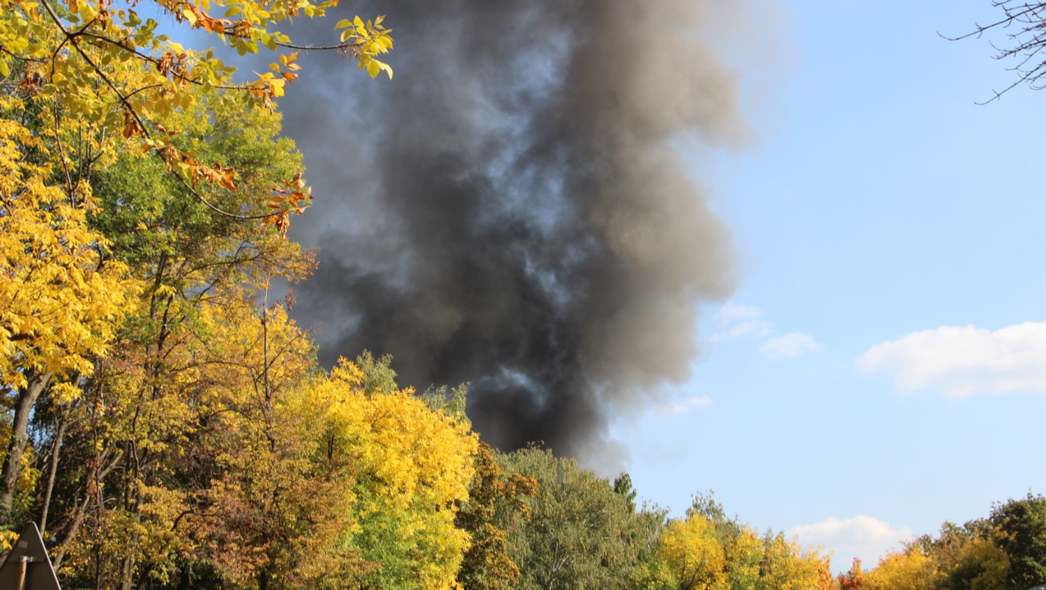 Ксения Калинина