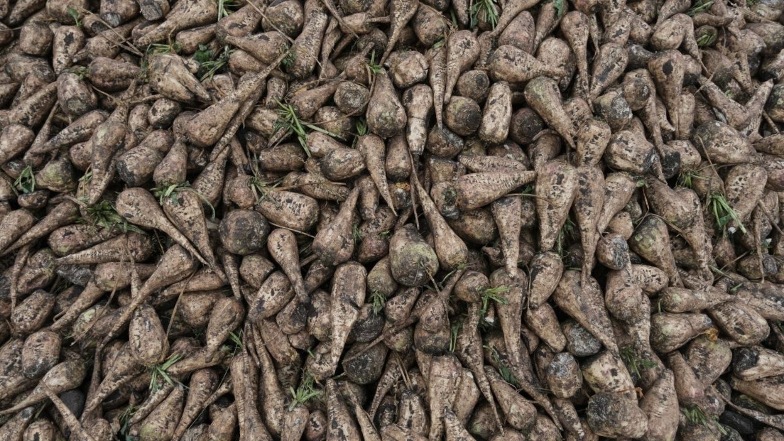 Башҡортостан Ауыл хужалығы министрлығының матбуғат хеҙмәте