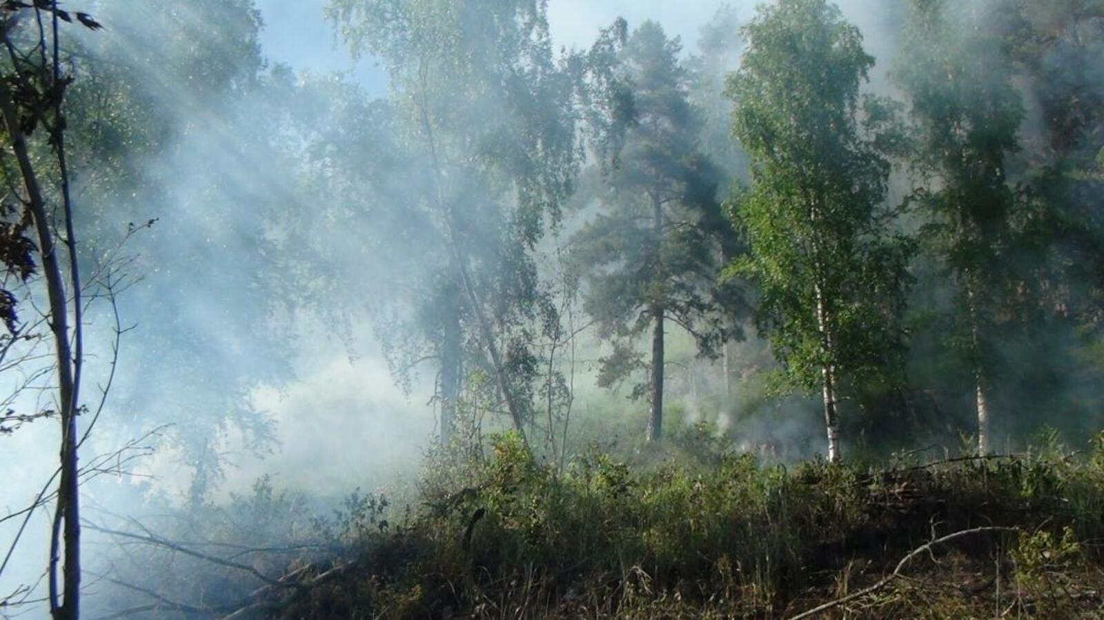 ИА «Башинформ»