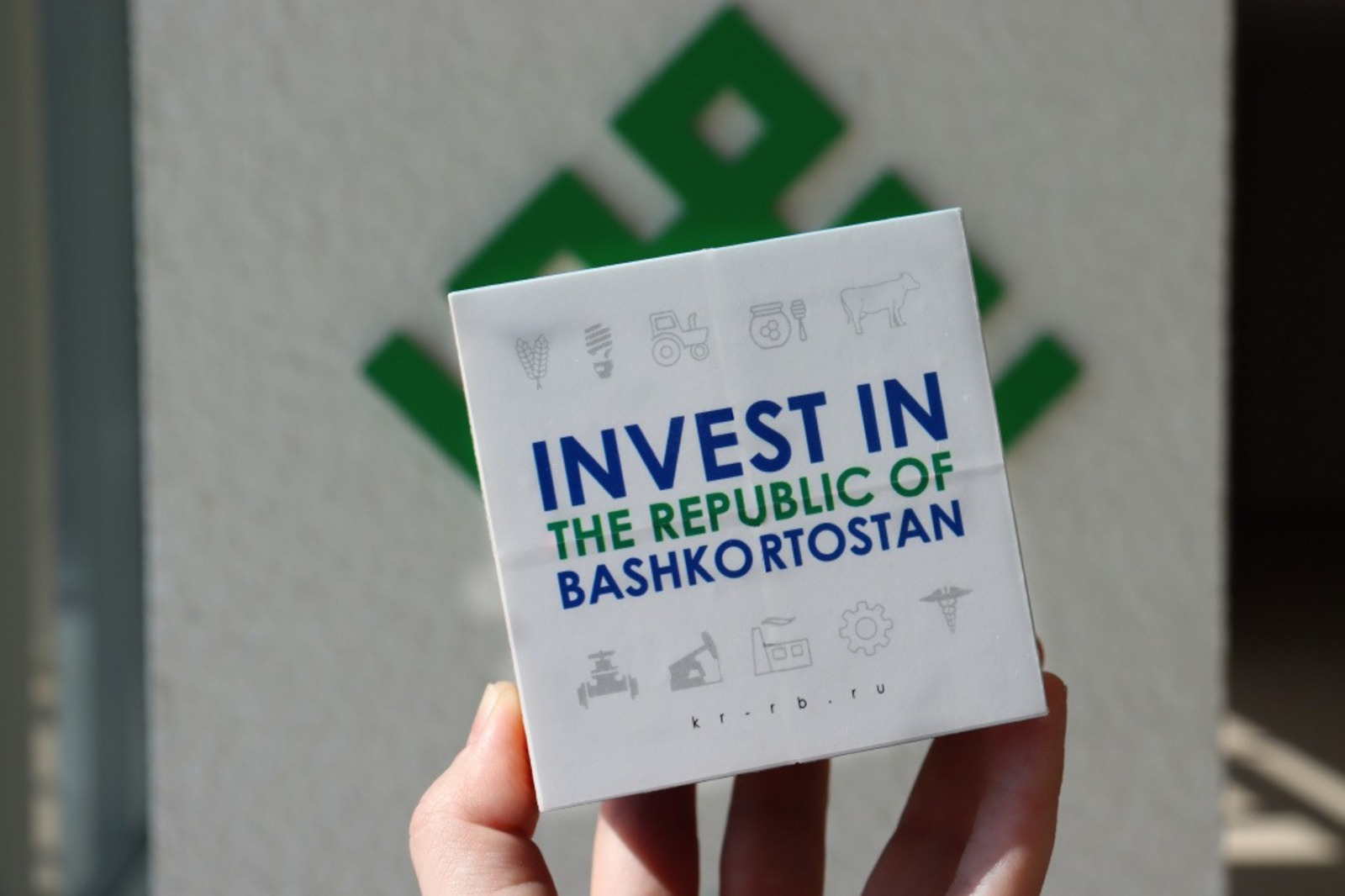 правительство РБ