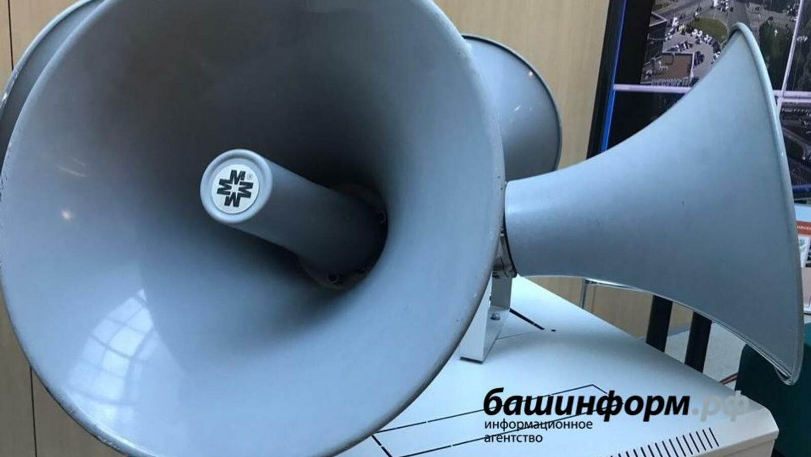 Ксения Калинина