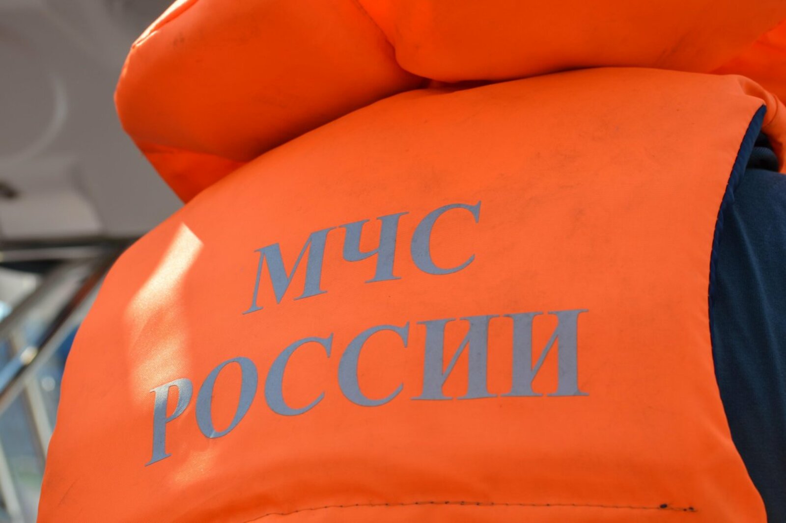 Ксения Калинина