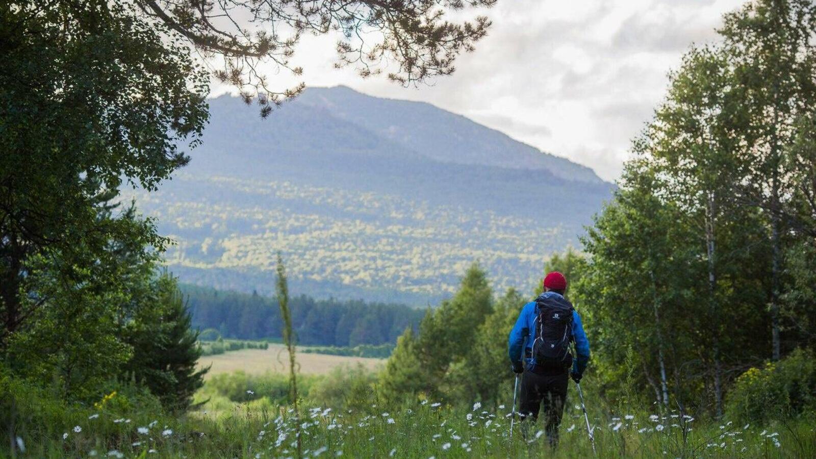 Олег Чегодаев