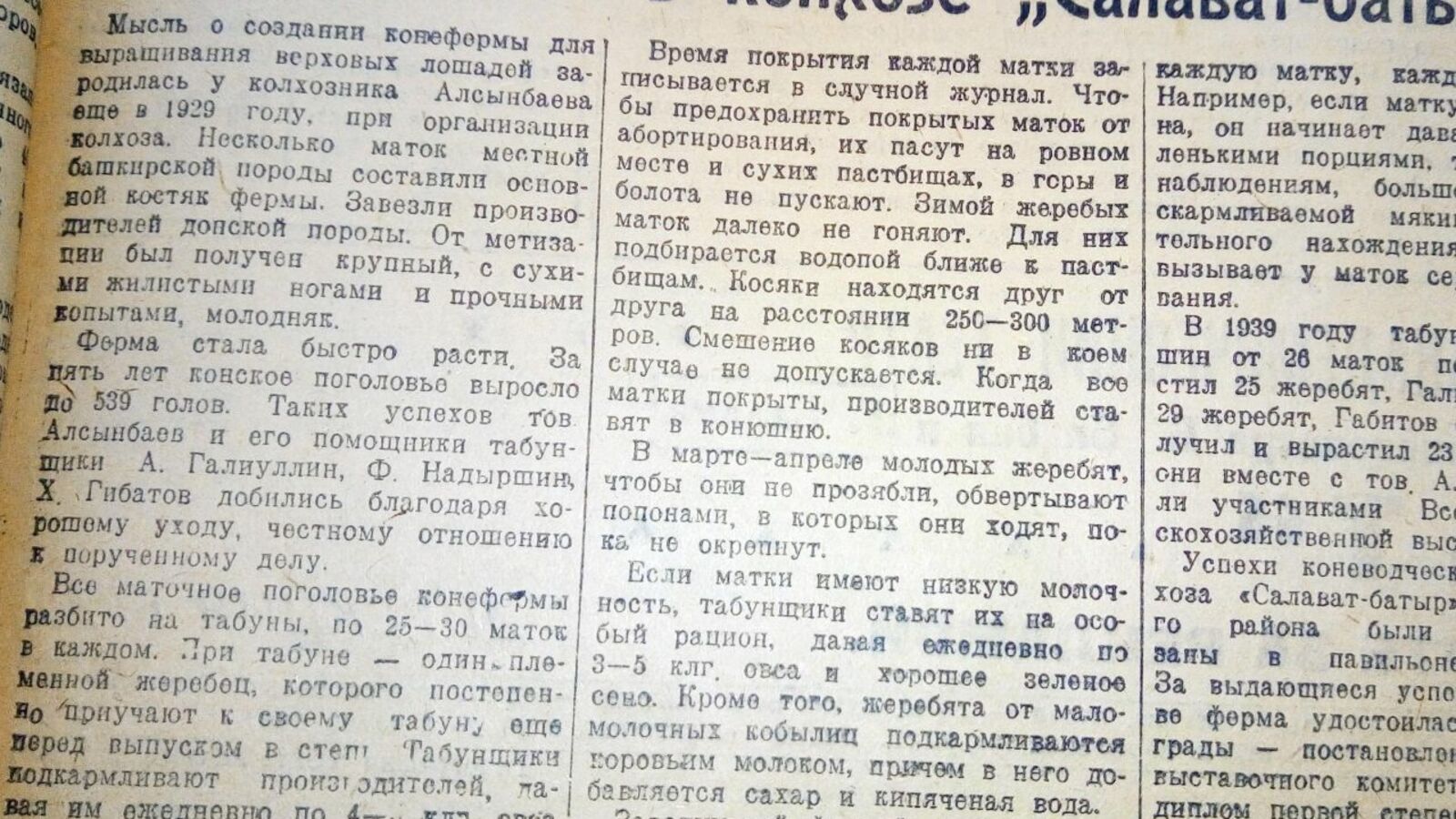 Книжная палата РБ