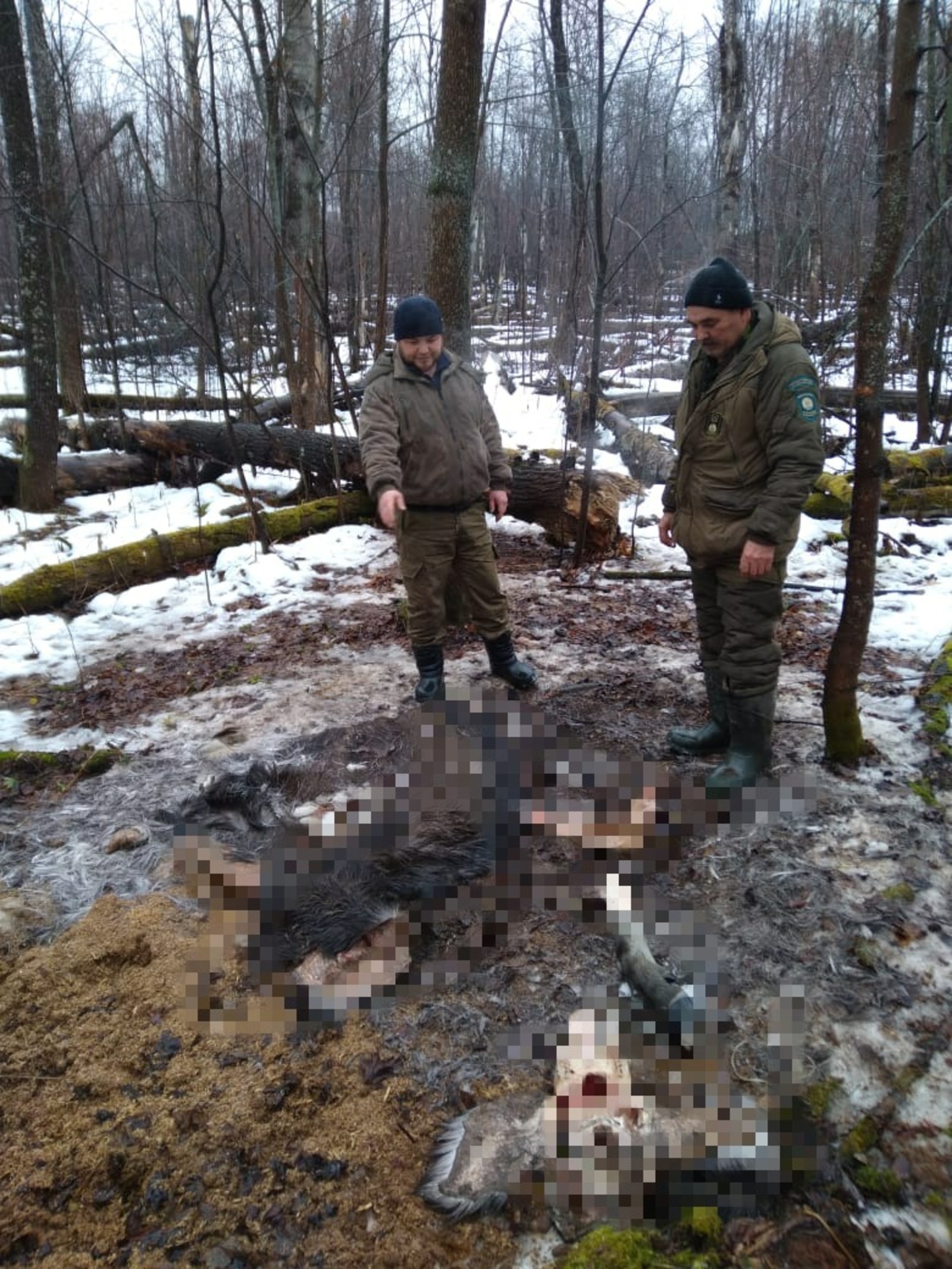 минэкологии РБ