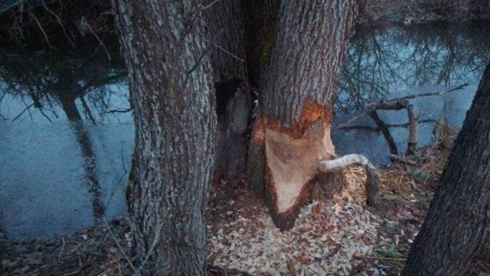 природный парк «Аслы-Куль» минэкологии РБ