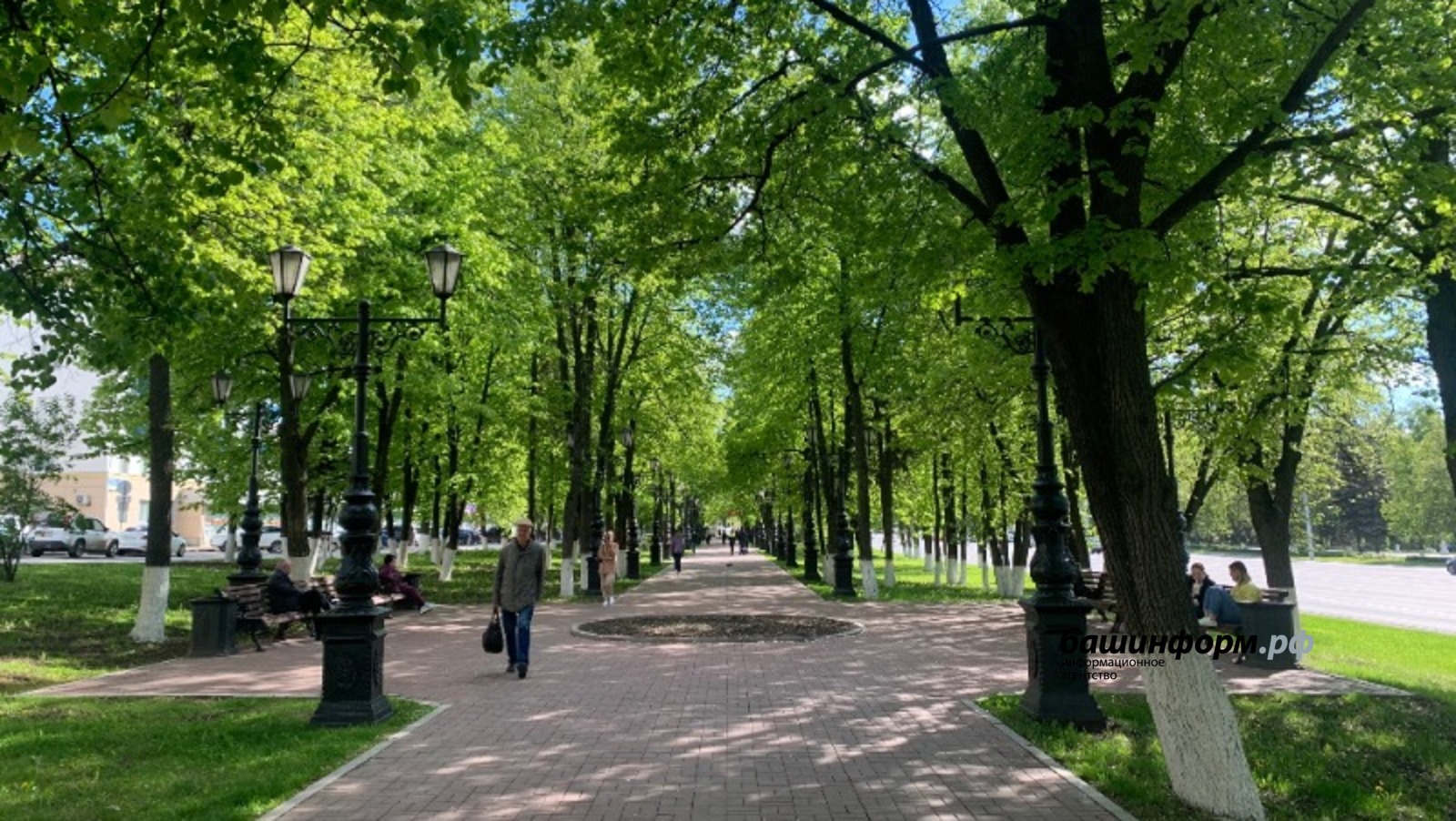 Галина Бахшиева