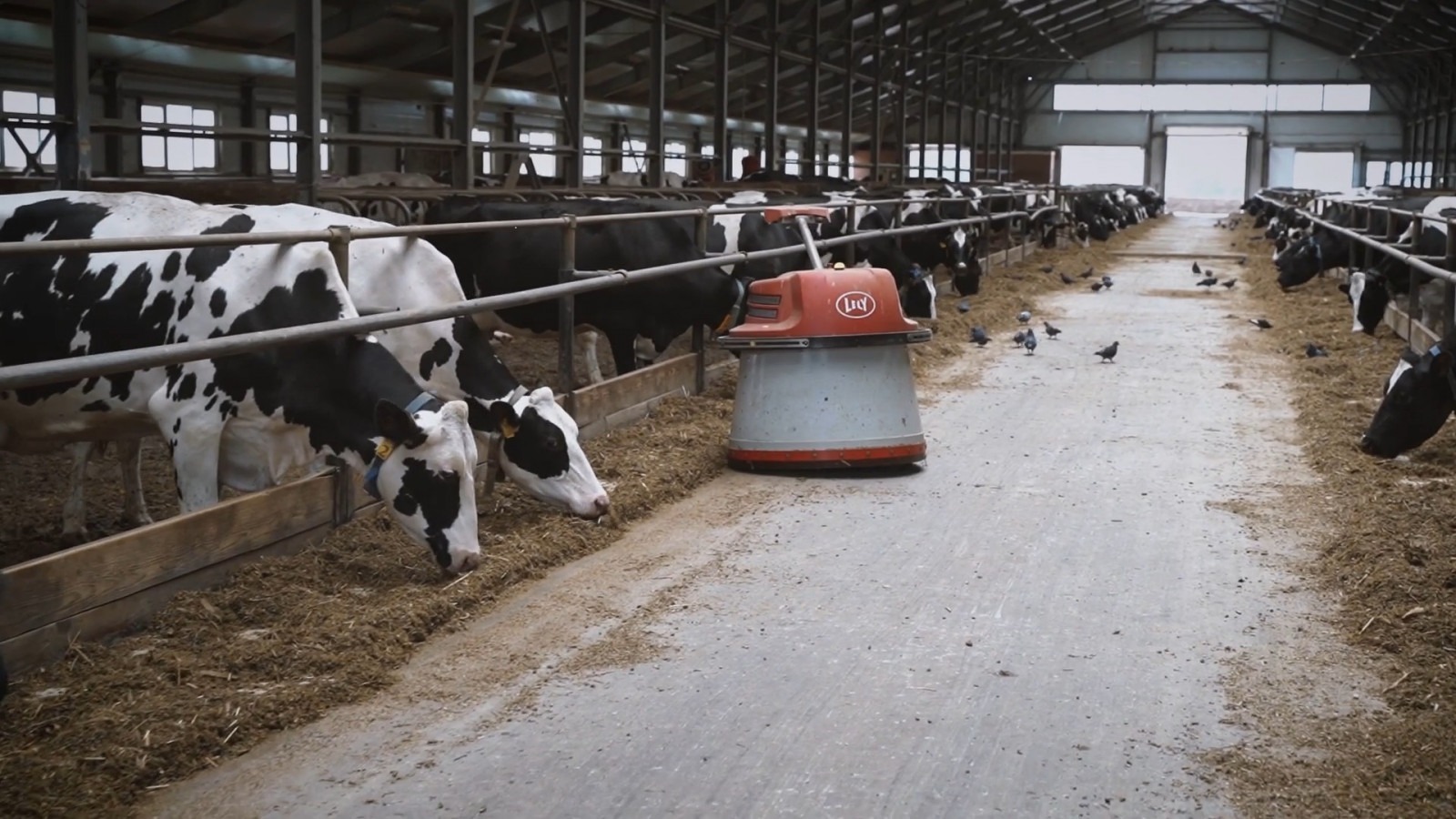 В Башкирии крупные инвестпроекты молочных ферм произвели треть всего молока