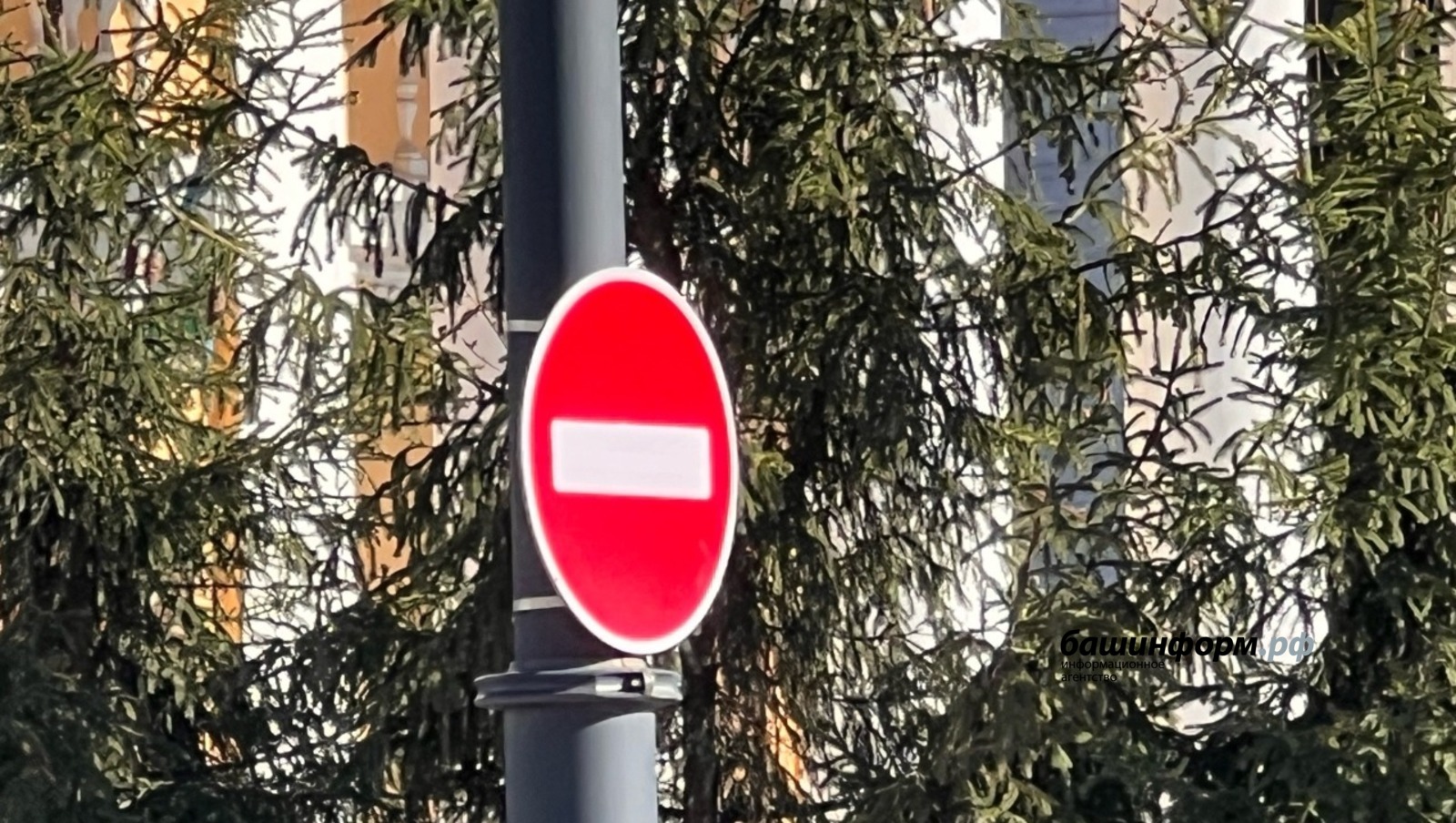 Ксения Калинина