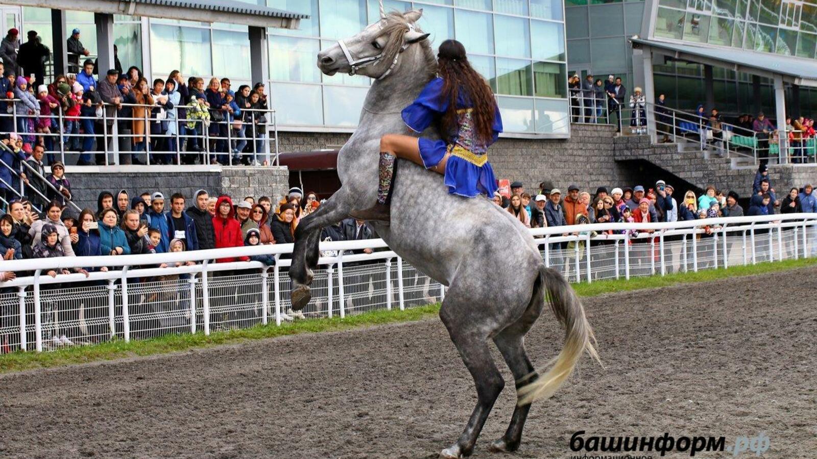 Валерий Шахов