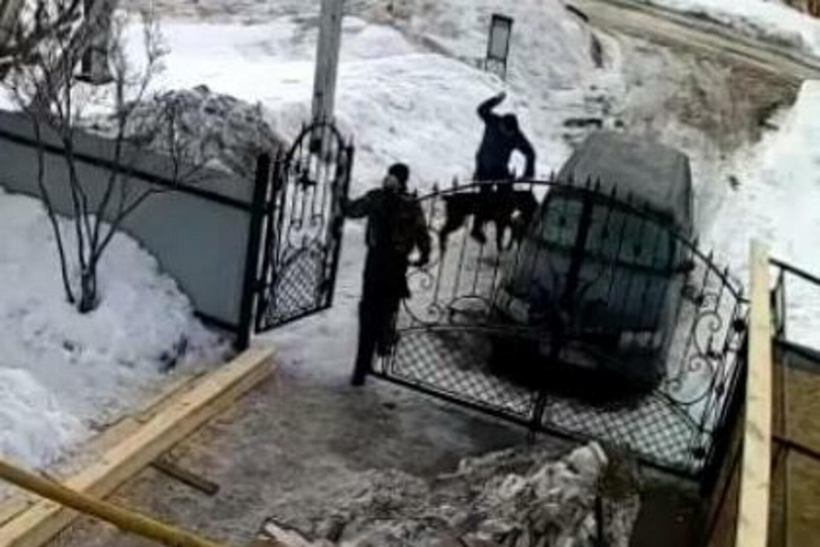стоп-кадр видео
