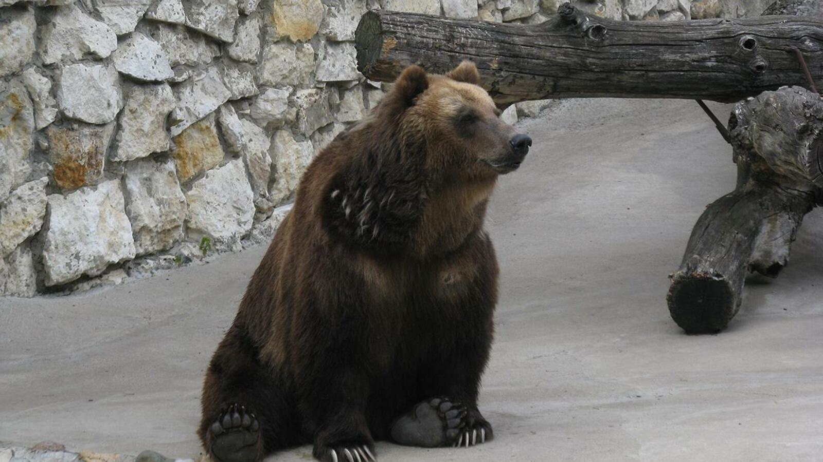 ИА «Башинформ»