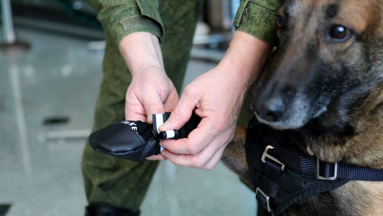 Валерий Шахов