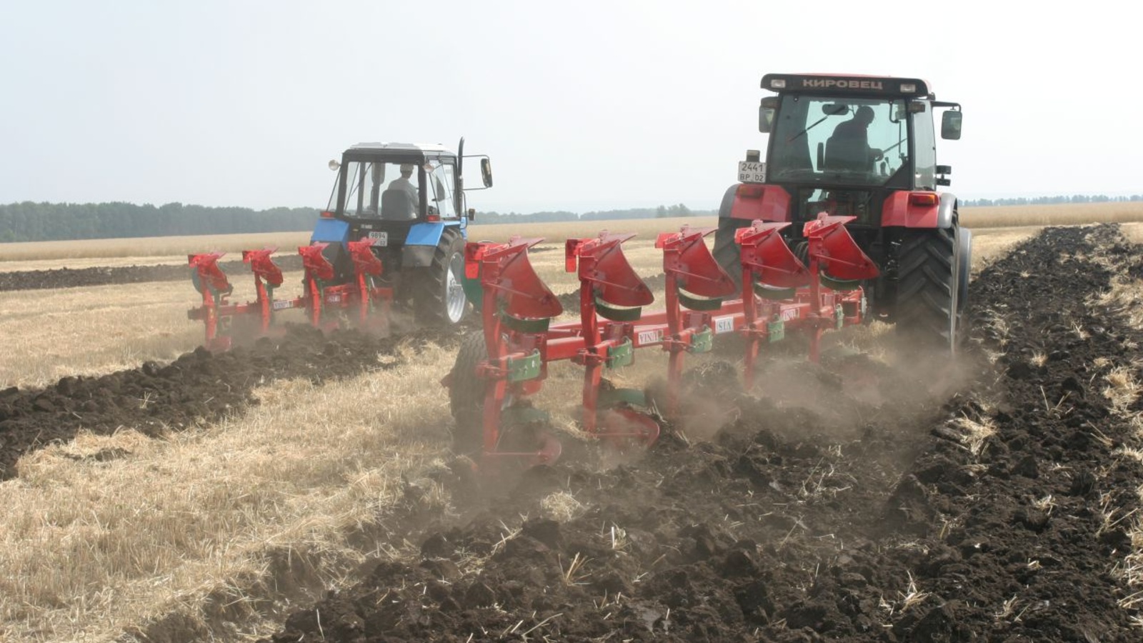 Андрей Старостин