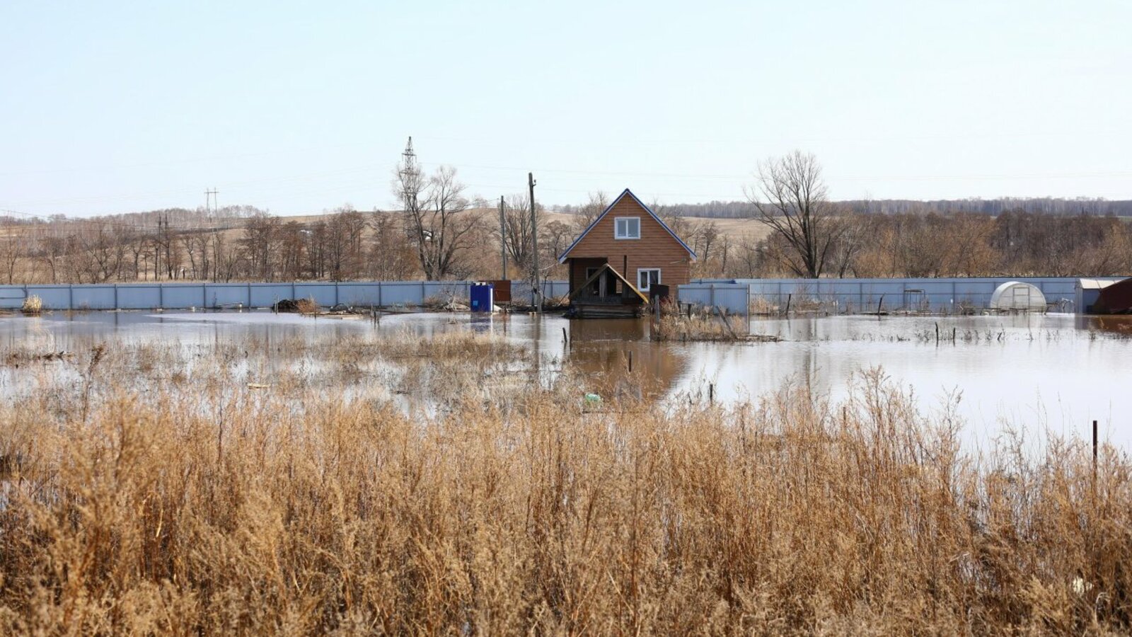 Валерий Шахов