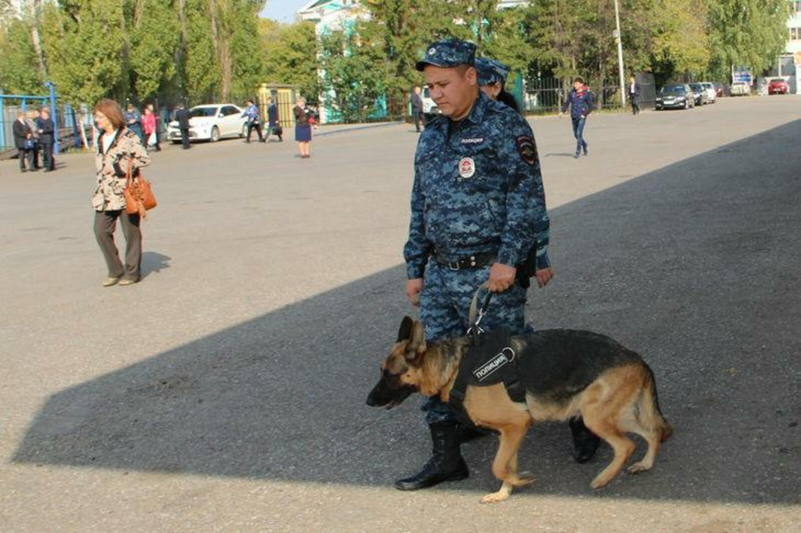 автор