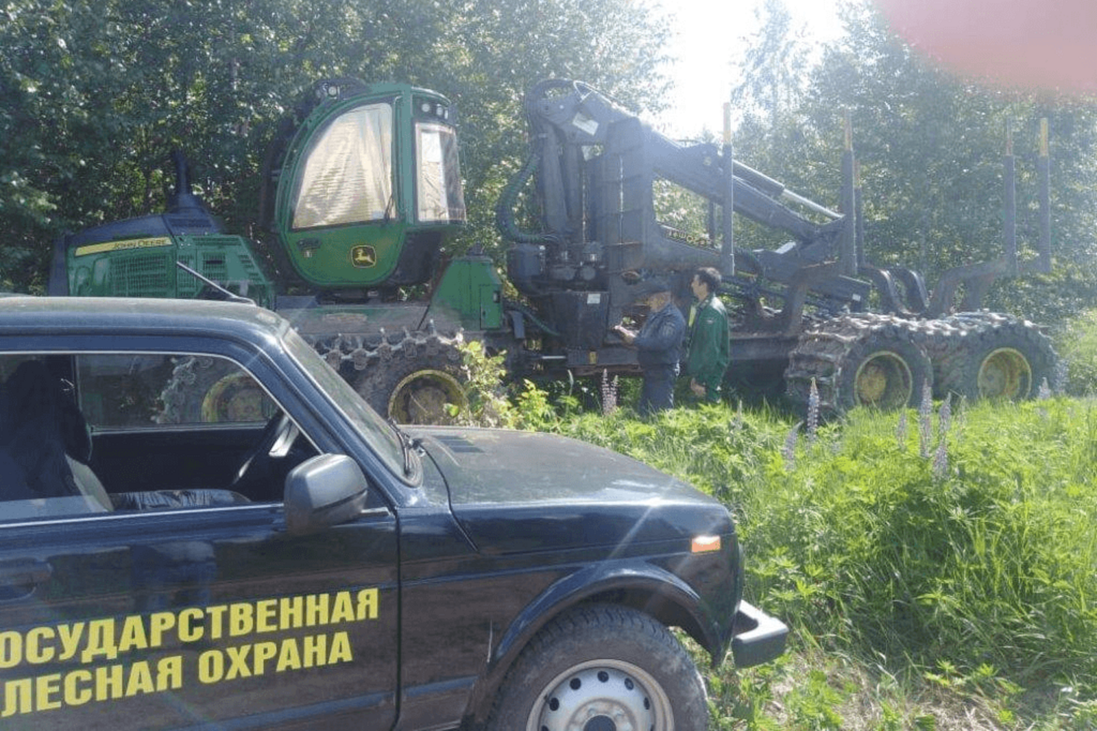 пресс-служба Минлесхоза Башкирии