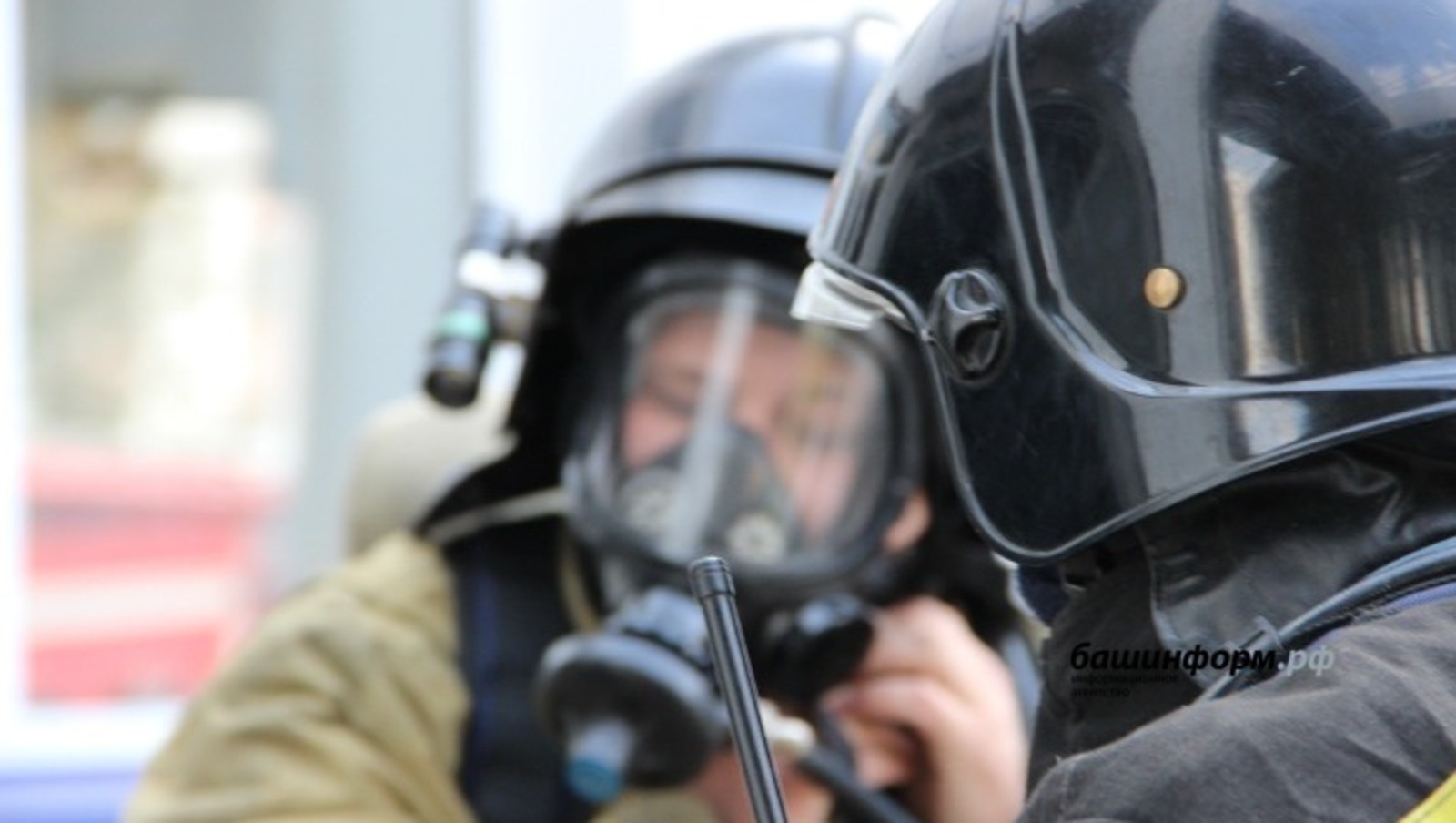 Ксения Калинина