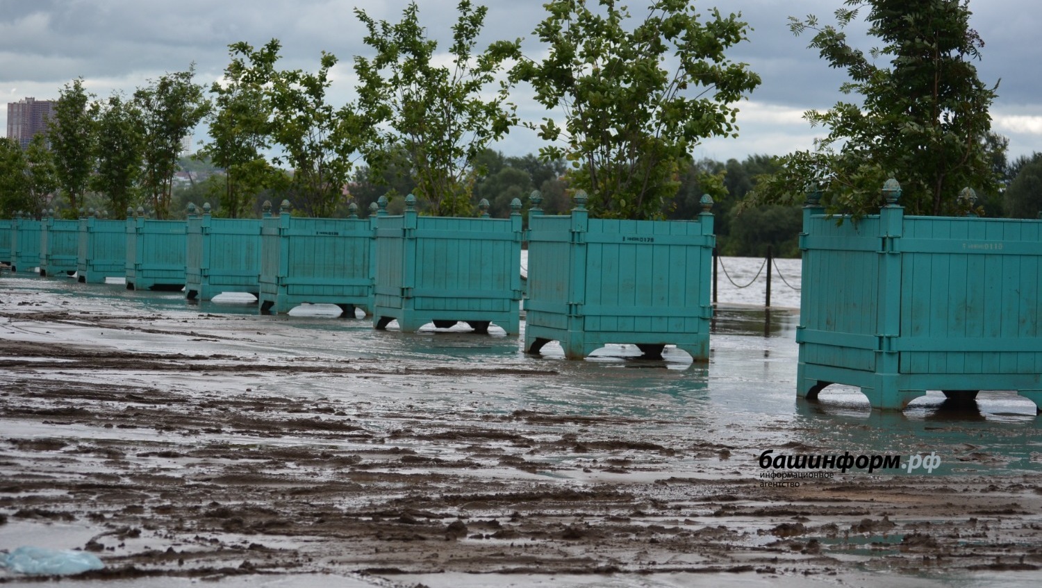Ксения Калинина   Ситуация на 21 июня 2022 года