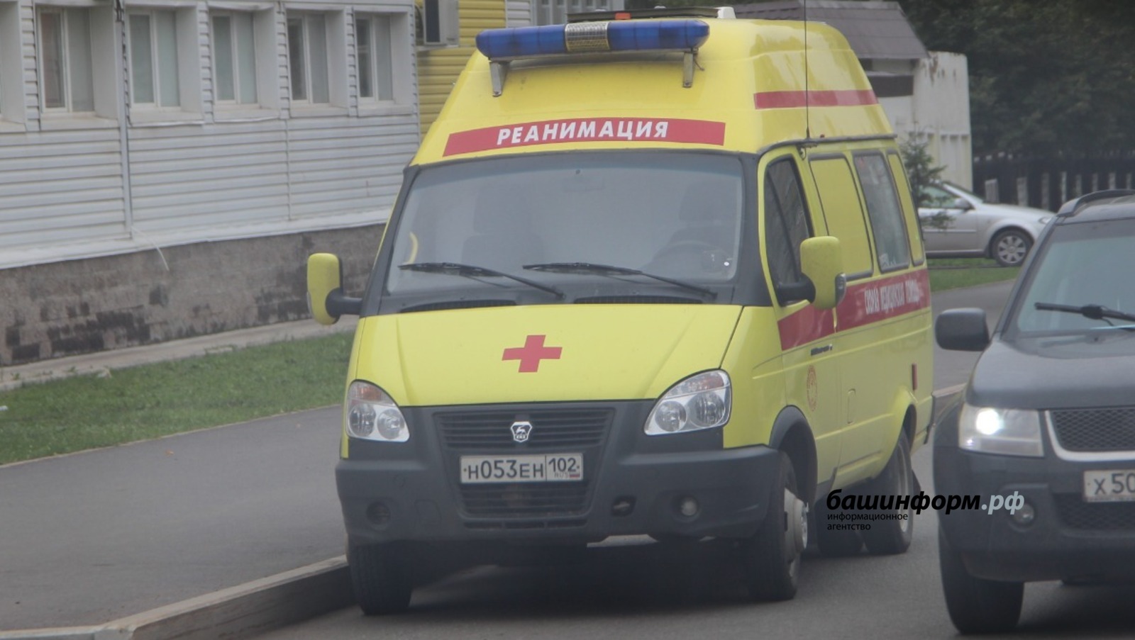 Ксения Калинина