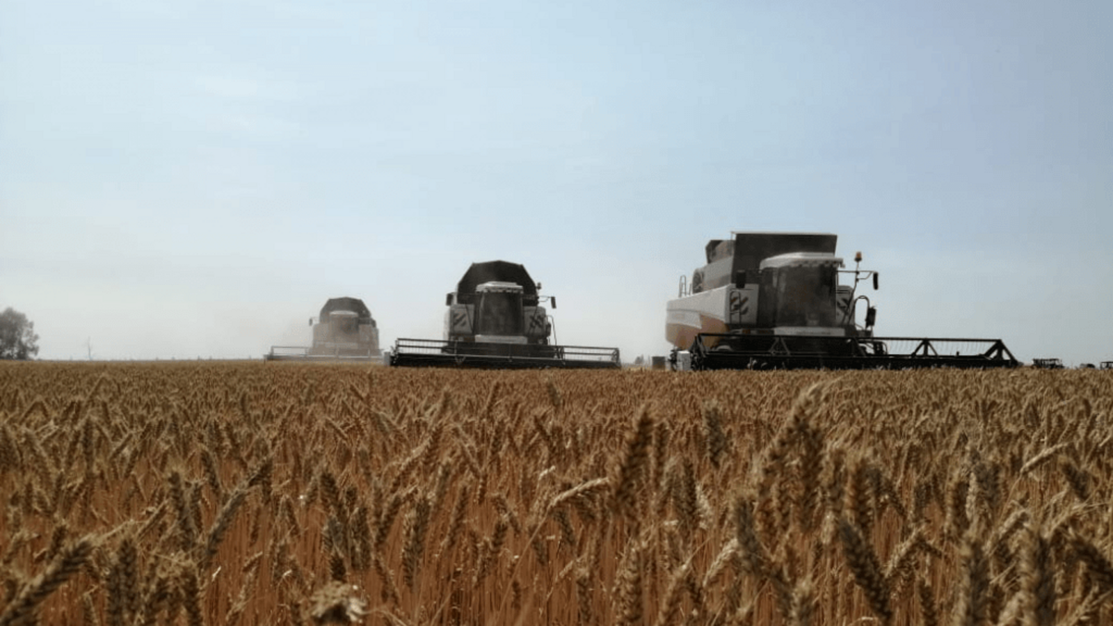 пресс-служба Минсельхоза Башкирии