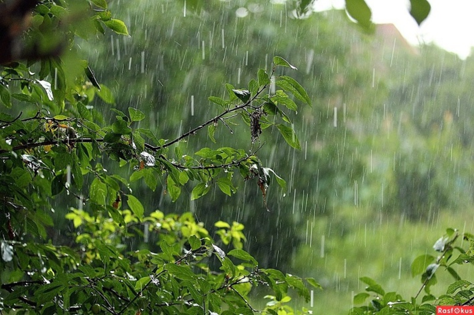 В Башкирии ожидается потепление и дожди