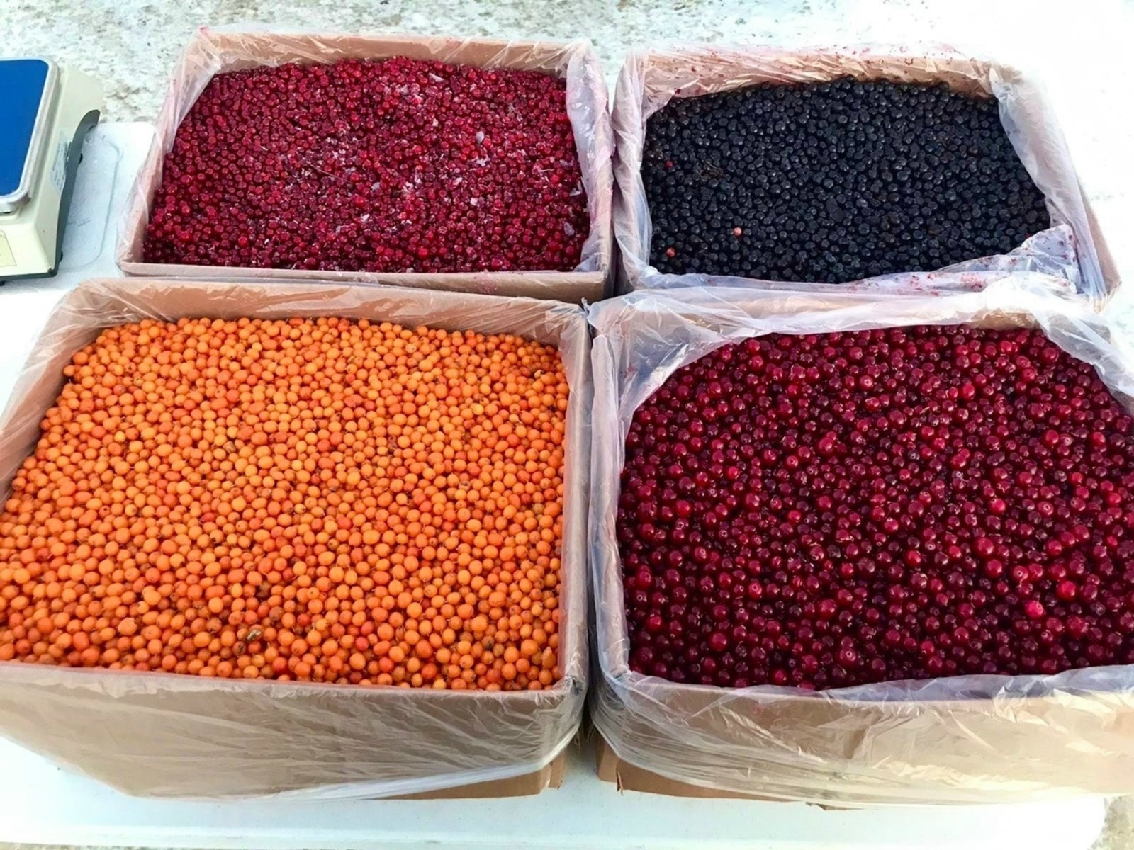 Өфө хакимиәте / сайт