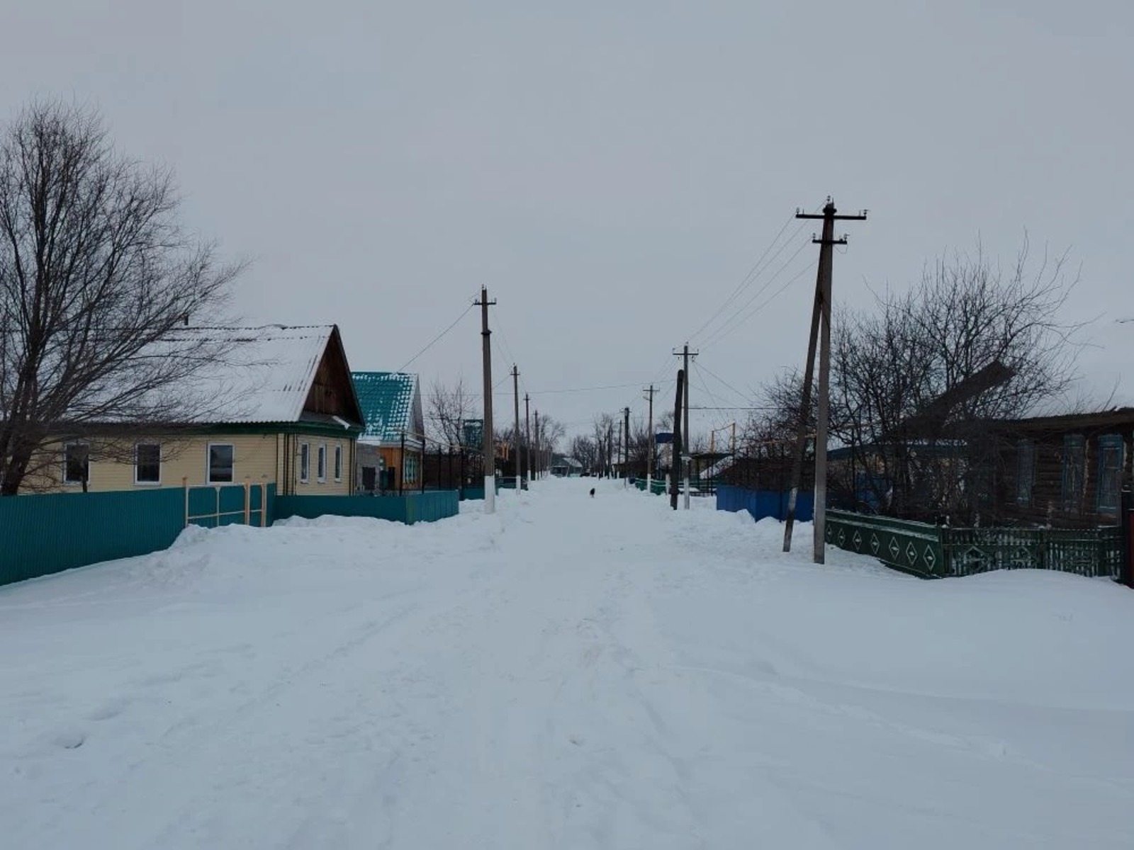 Гөлшат Дәүләтбаева