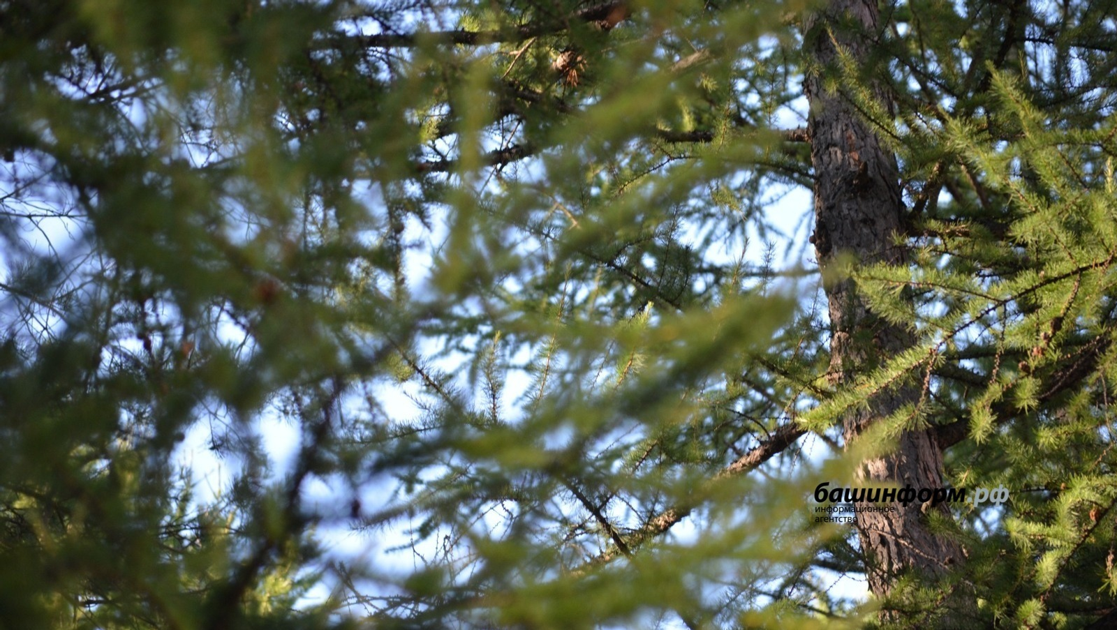 Ксения Калинина