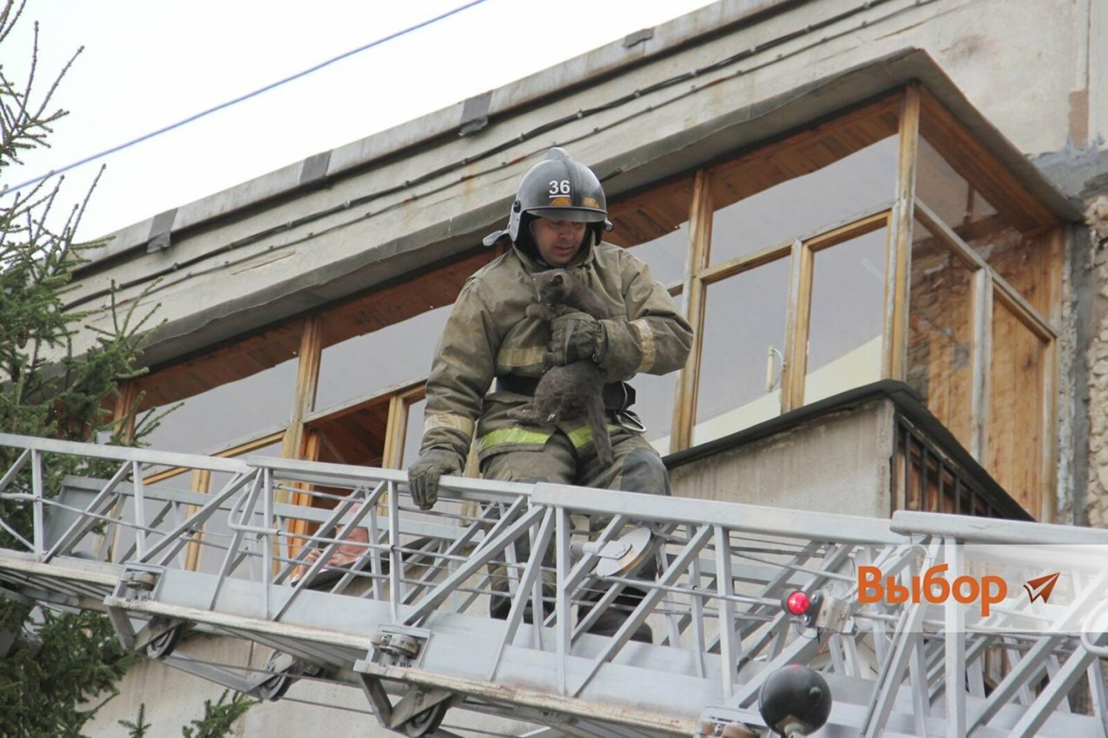 Газета "Выбор"