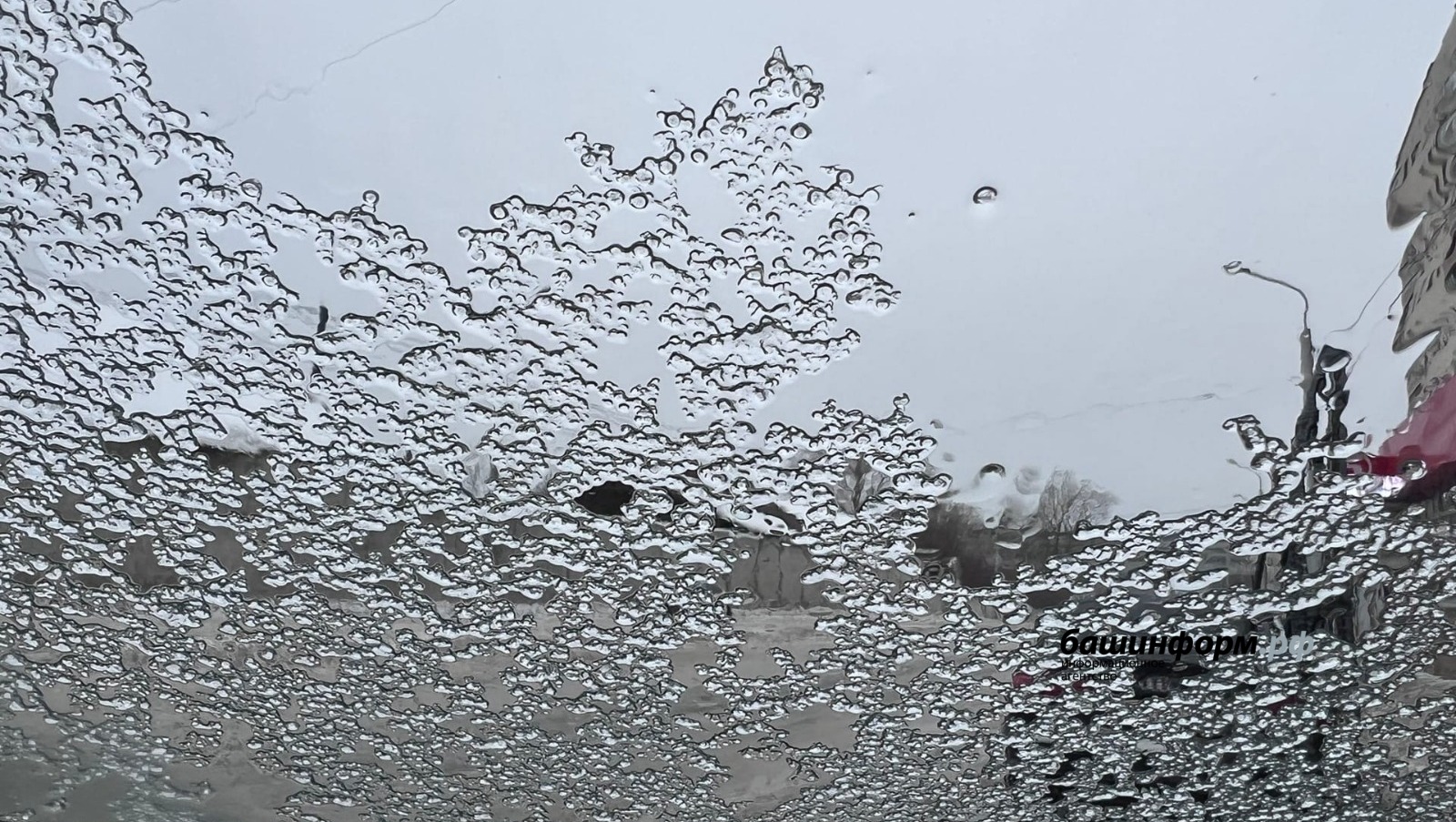 Ксения Калинина ИА «Башинформ»