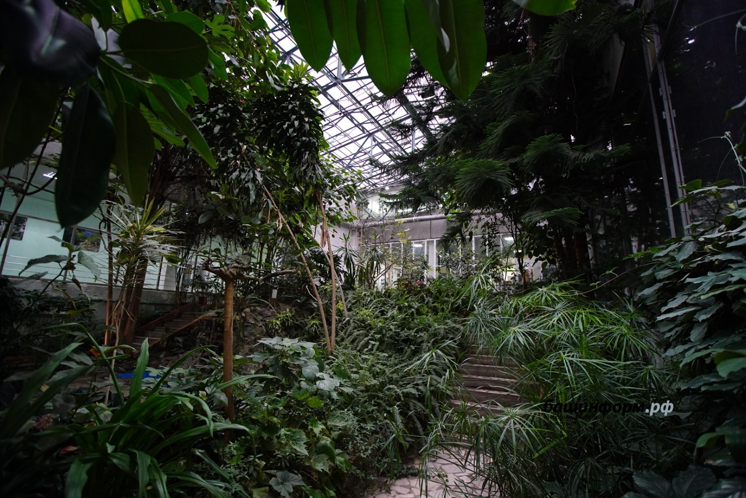 Олег Яровиков   ИА «Башинформ»