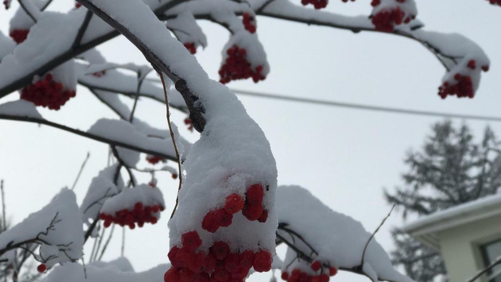 Ксения Калинина