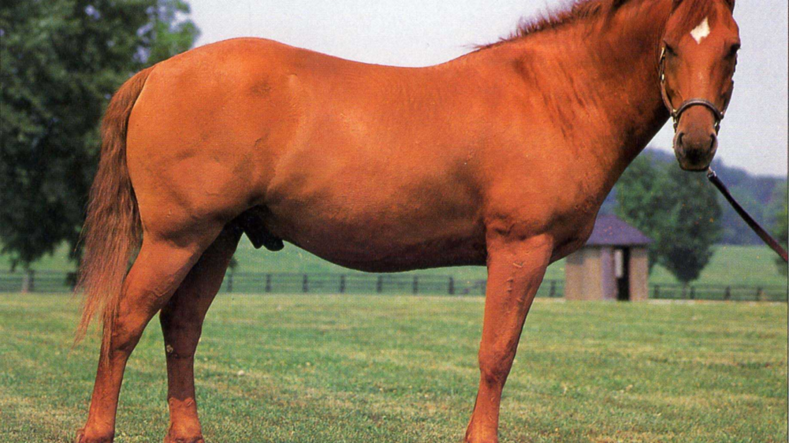 Минсельхоз РБ