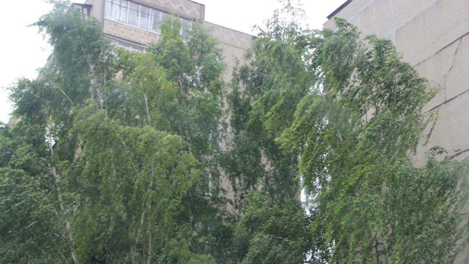 ИА «Башинформ»