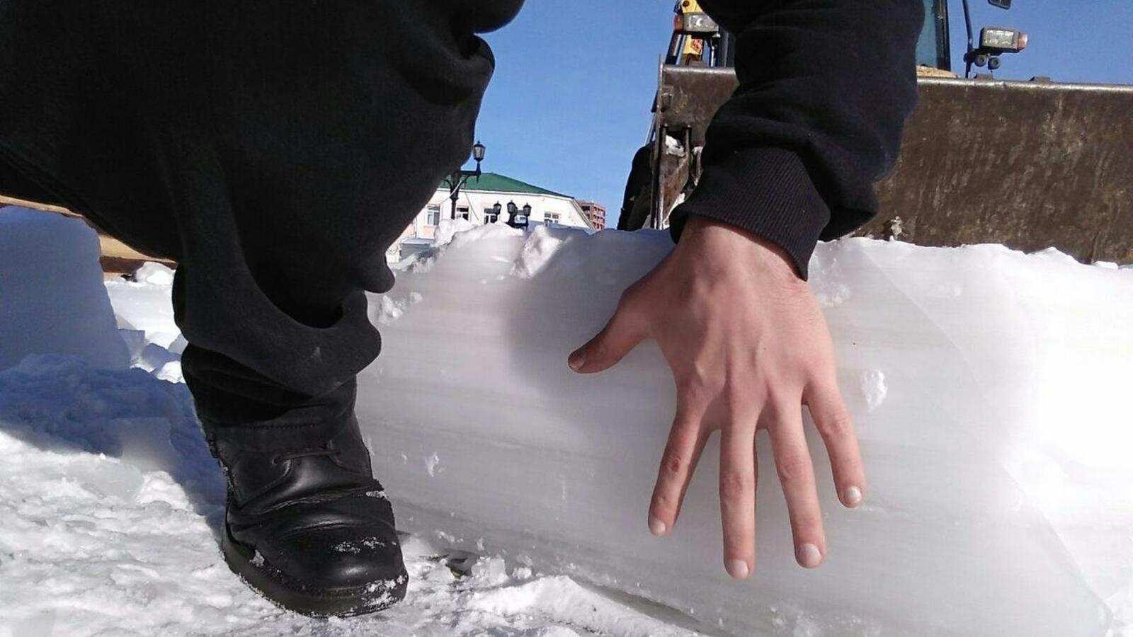 Никита Залдинов