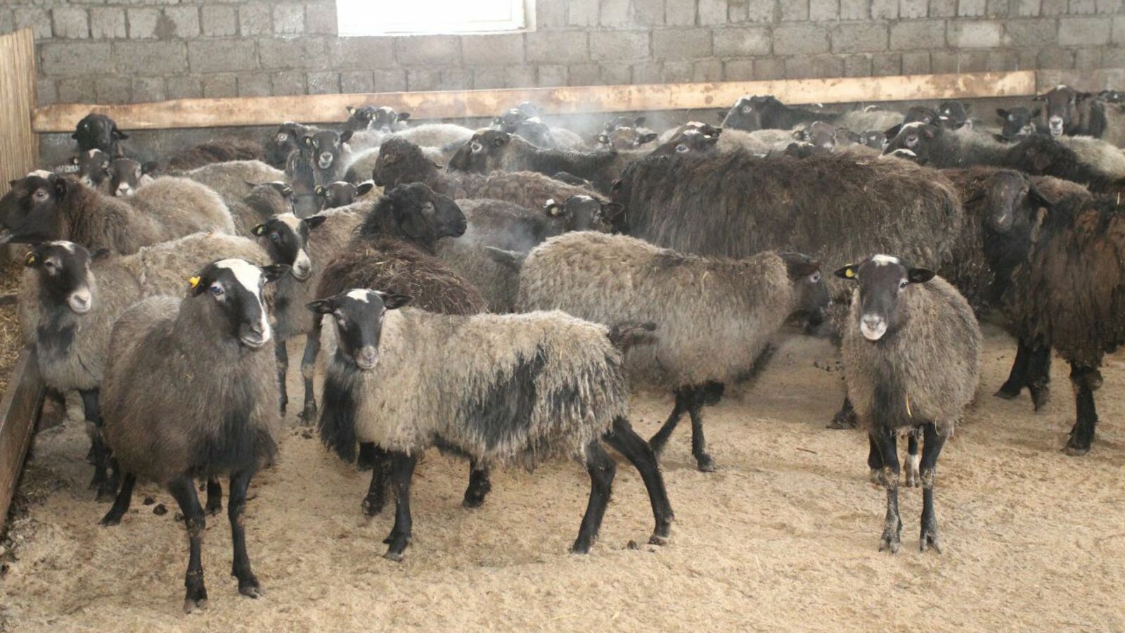 Олег Яровиков