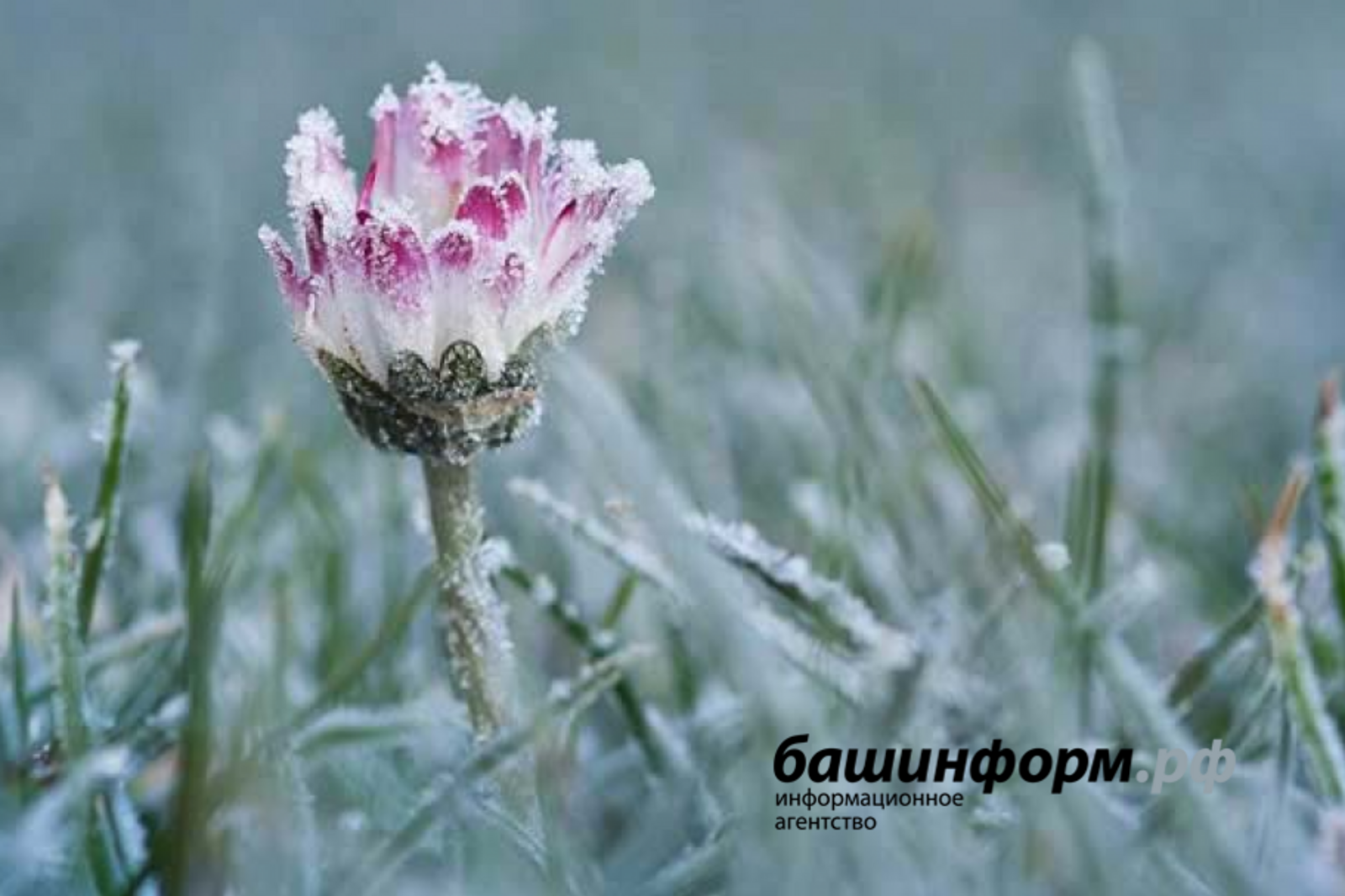 «Башинформ» мәғлүмәт агентлығы