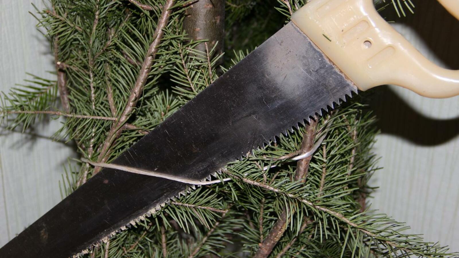 ИА «Башинформ»