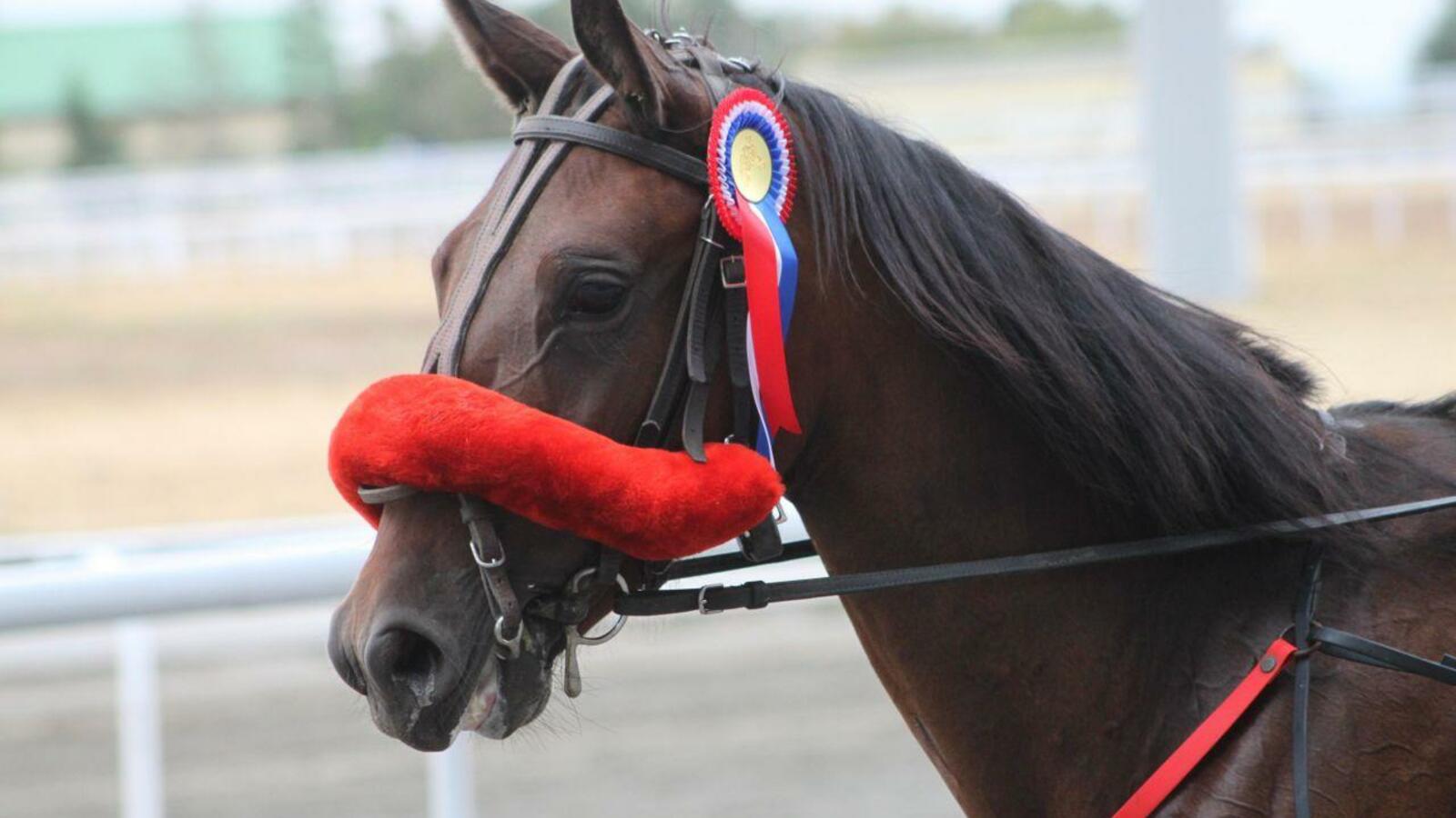 Ипподром "Акбузат"