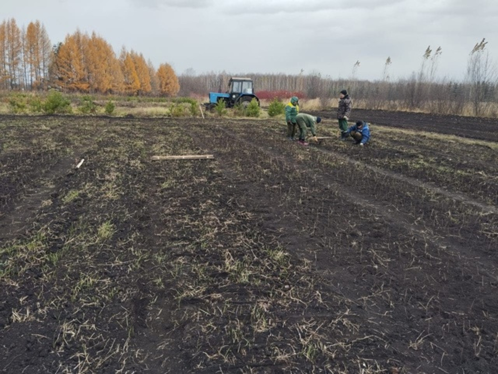 администрация Уфы администрация Уфы