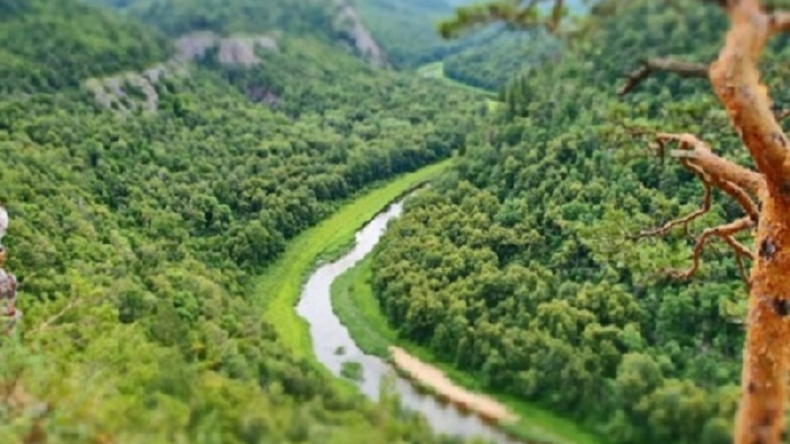 Степан Иванов