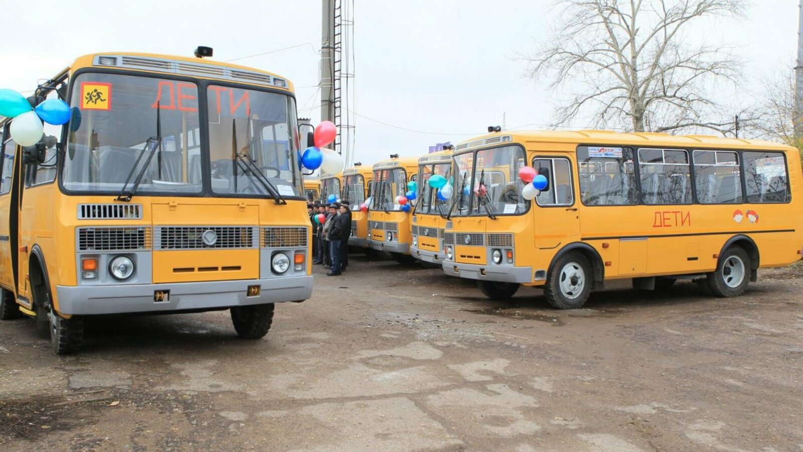 Андрей Старостин