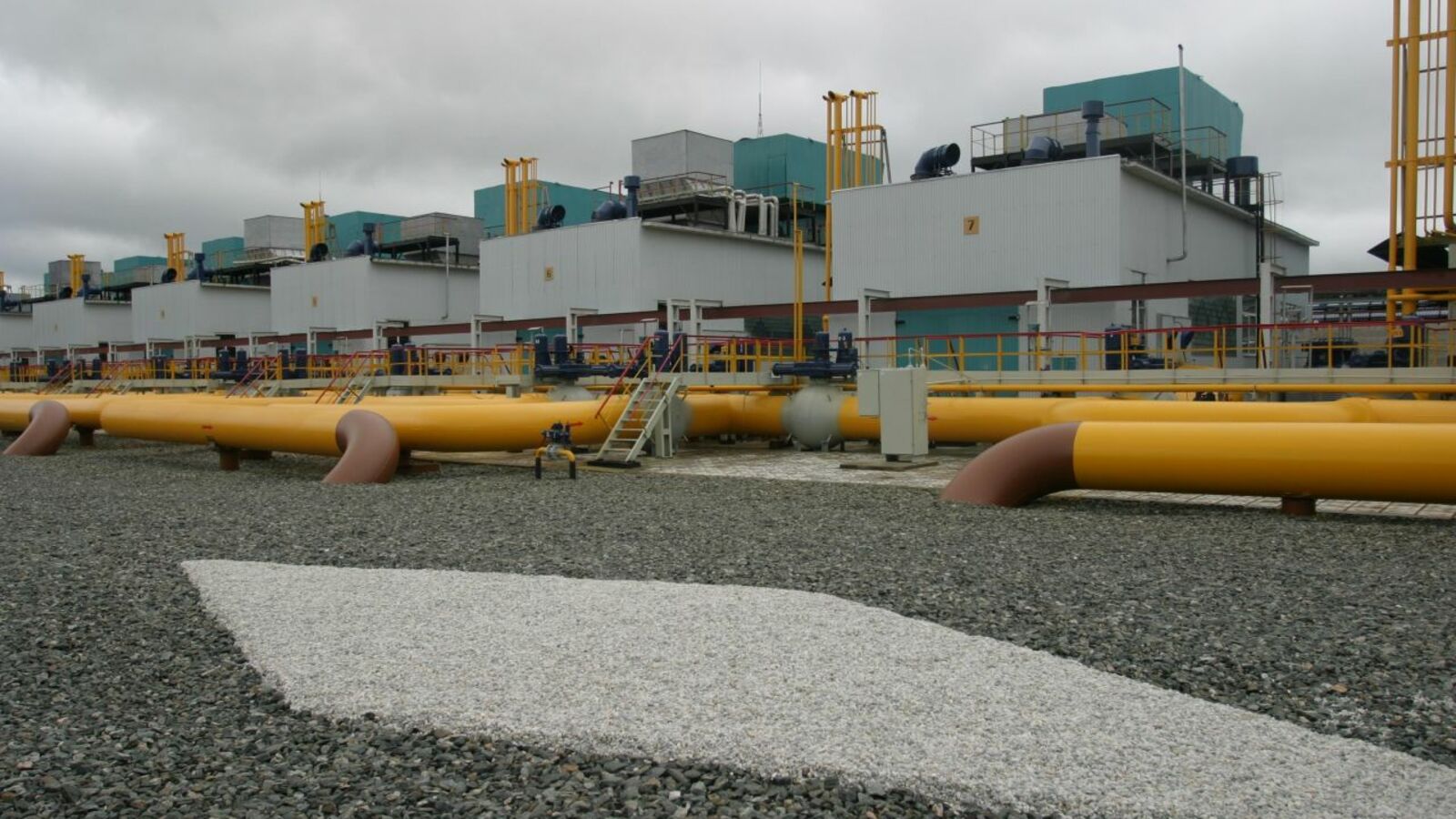 Андрей Старостин