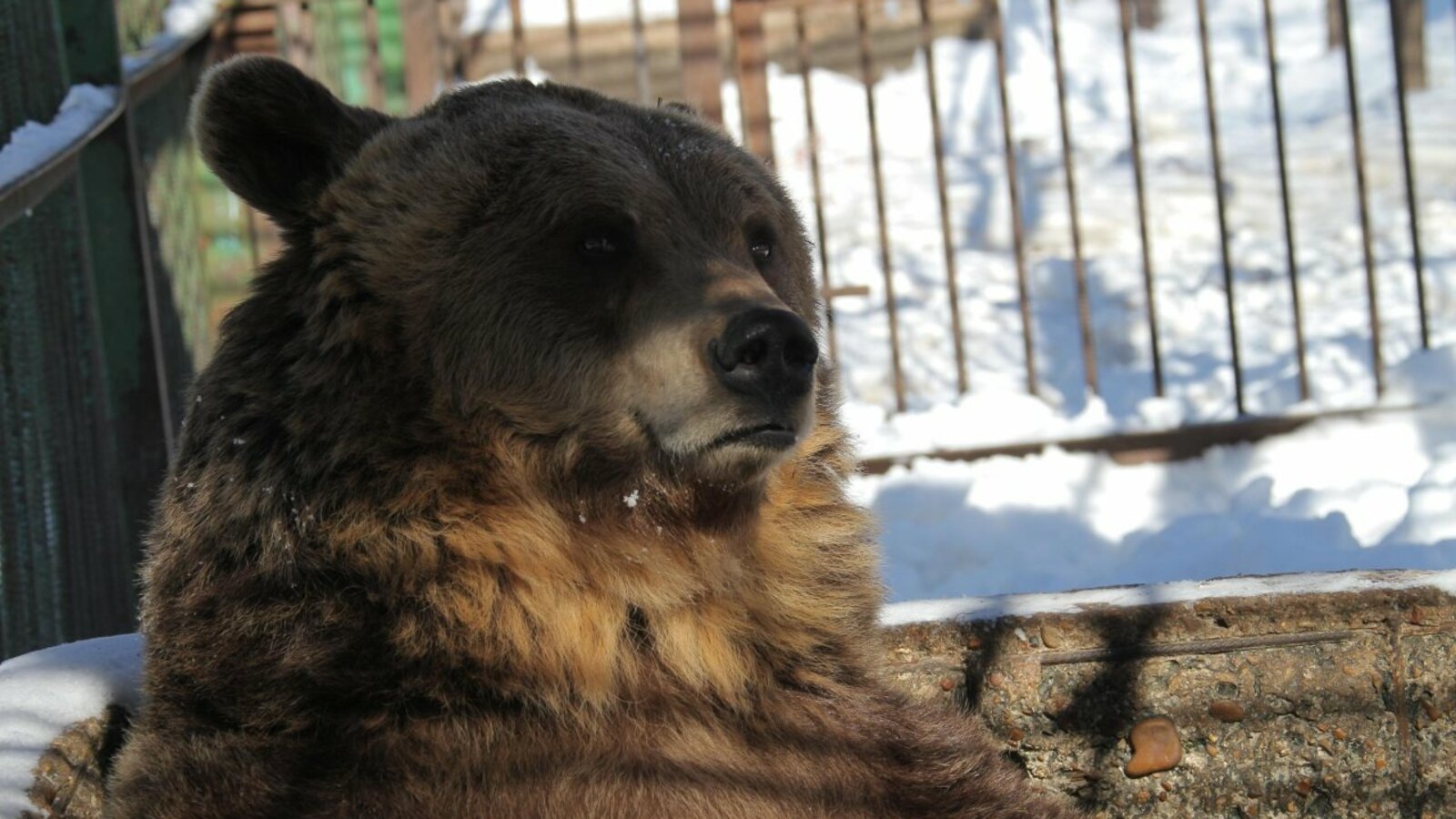 Олег Яровиков