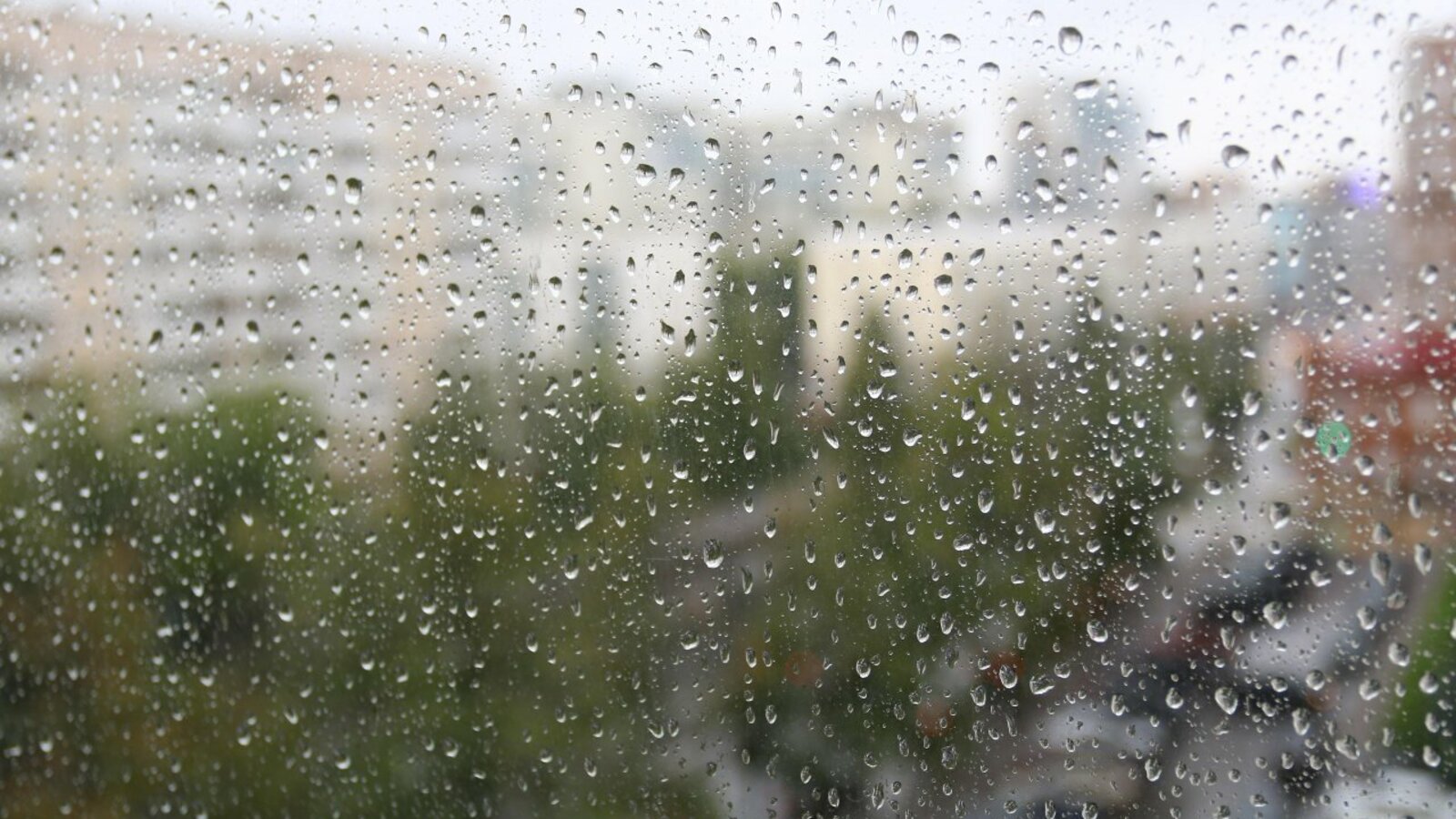 Валерий Шахов