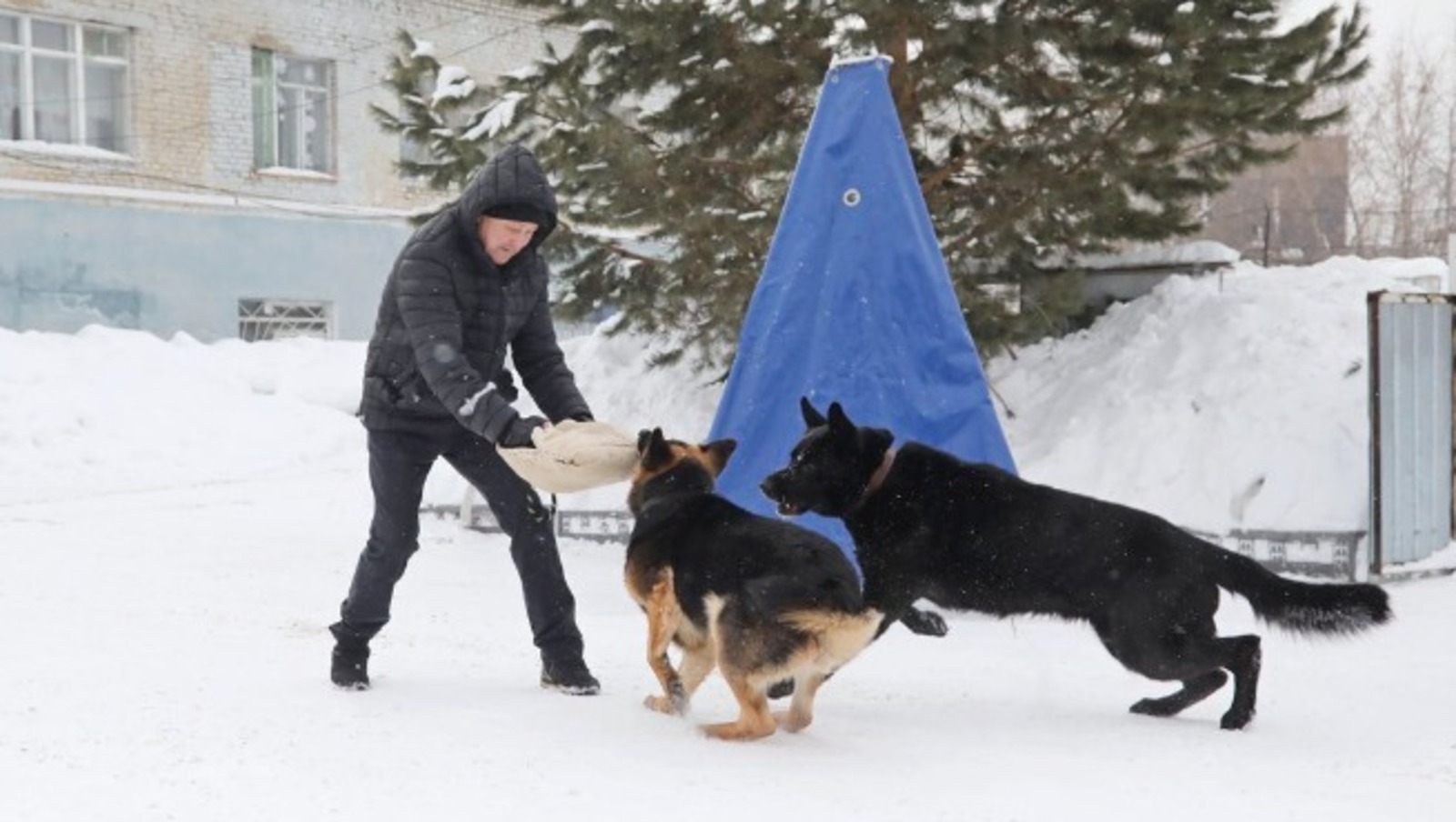 Валерий Шахов