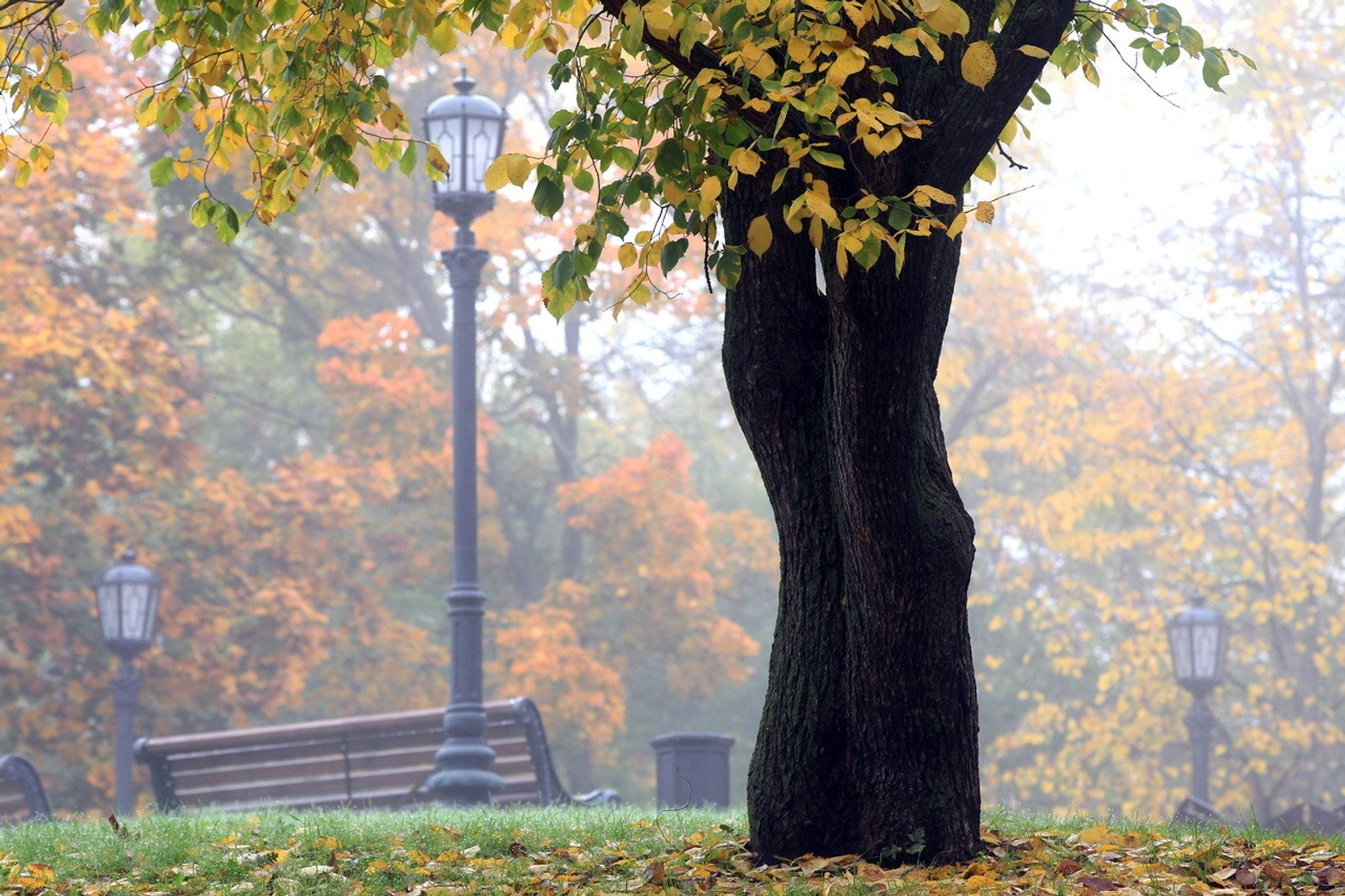 Олег Яровиков, архивное фото