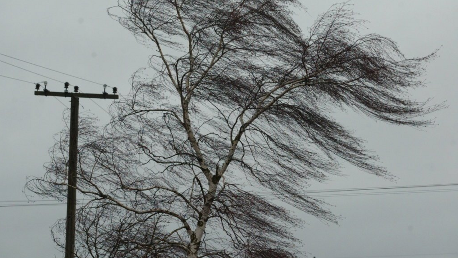 Госкомитет РБ по ЧС