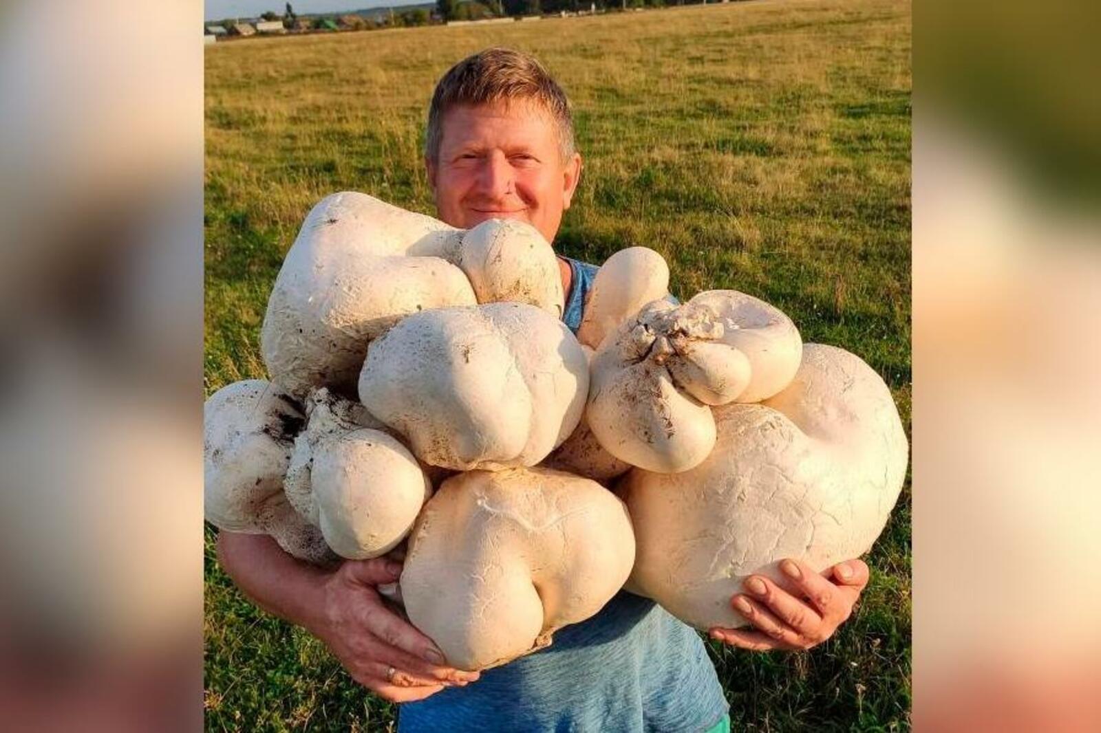 от подписчиков группы "Моя Уфа | Новости", Vk, Instagram